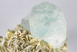 Wide Aquamarine Crystal On Muscovite Matrix - Pakistan #93520-3